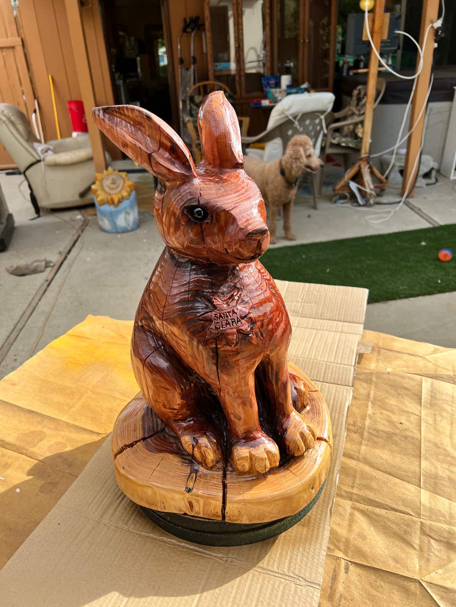 Rabbit, Casey, Woodcarving, Wood carving, Chainsaw Wood Carving,  Chainsaw Woodcarving, Sculpture, Art, Realism, #LLAP, Chainsaw Casey, Casey Woodcarving, Casey Wood Carving, Woodworking