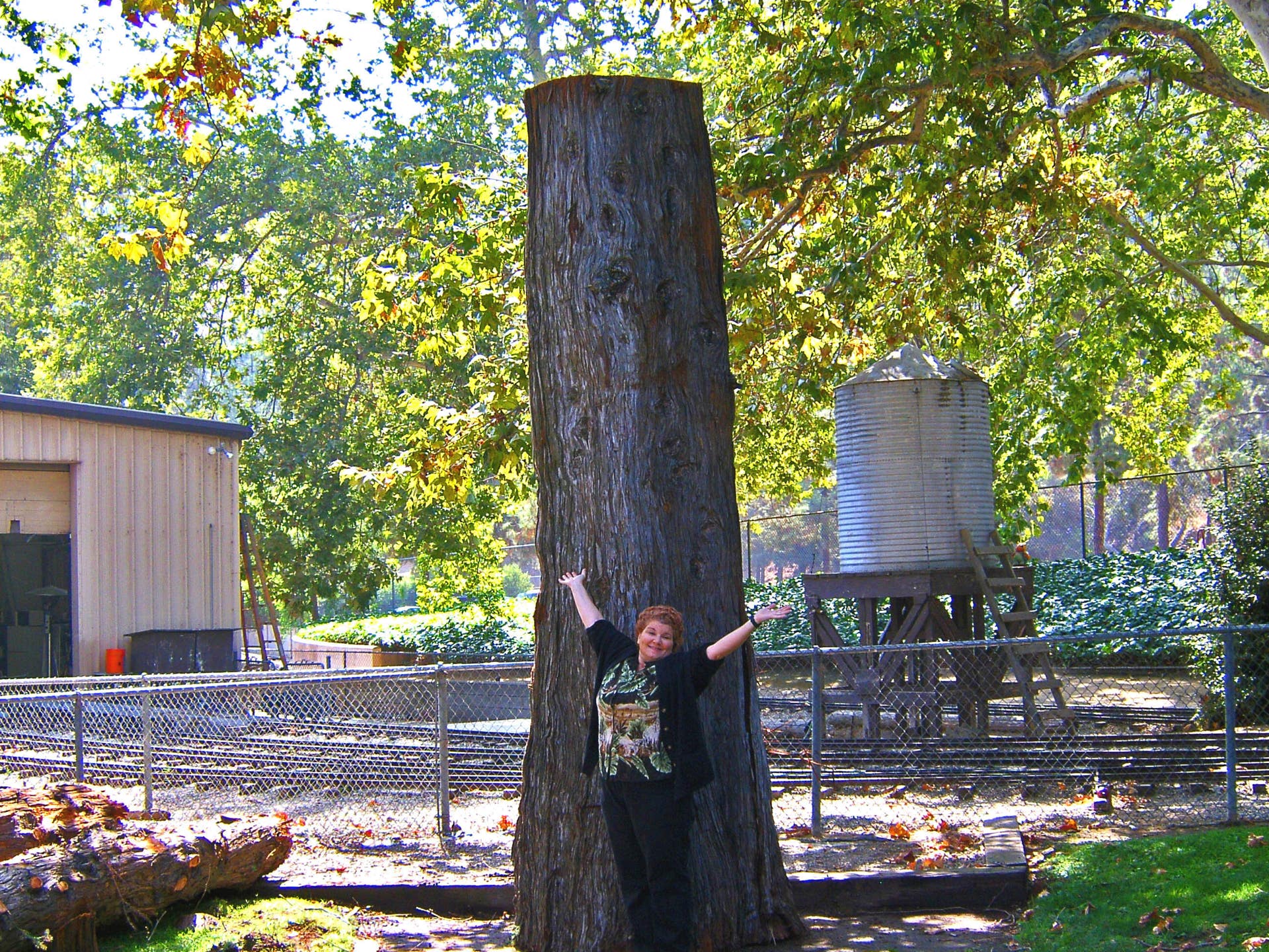 Woodcarving, chainsaw woodcarving, casey jones, griffith park, travel town, los angeles, redwood, art, sculpture