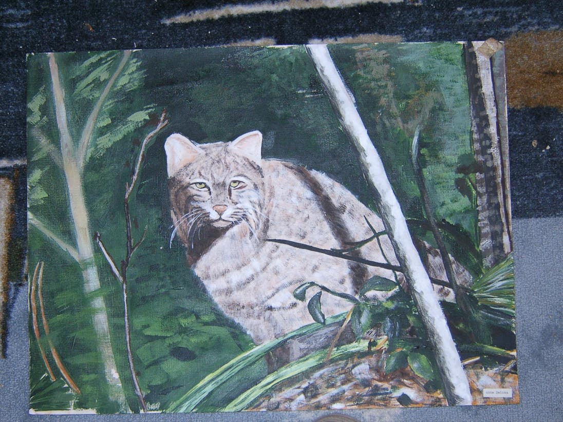 Oil Painting, Acylic, Watercolor, 