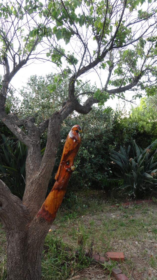 Casey, Woodcarving, Wood carving, Chainsaw Wood Carving,  Chainsaw Woodcarving, Sculpture, Art, Realism, #LLAP, Chainsaw Casey, Casey Woodcarving, Casey Wood Carving, Woodworking