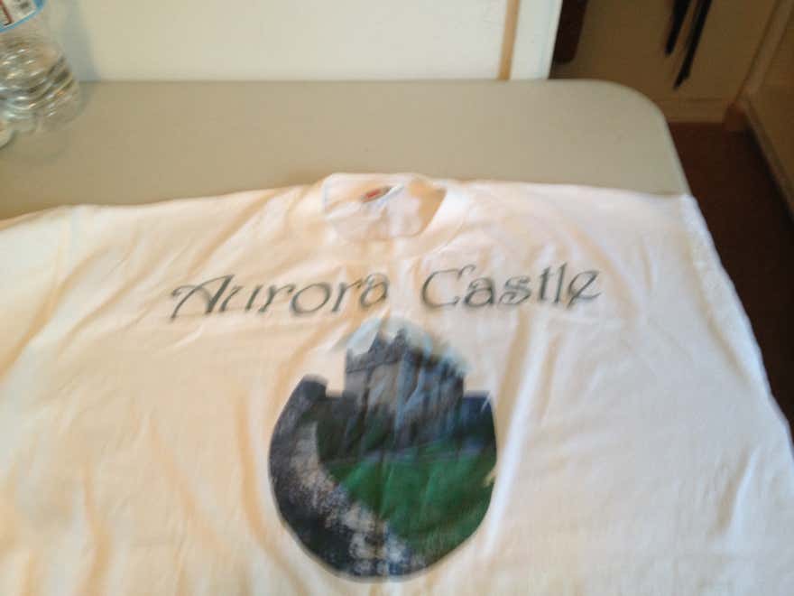 TShirts, T shirts, Design, Fabric, Silk Screen, Potato Prints