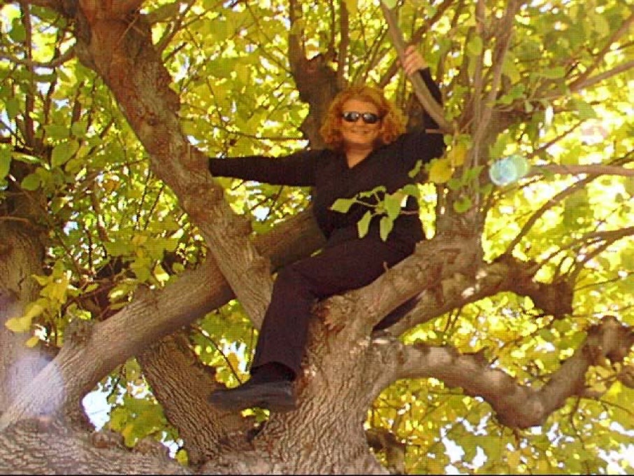 Casey McCaughn in a tree