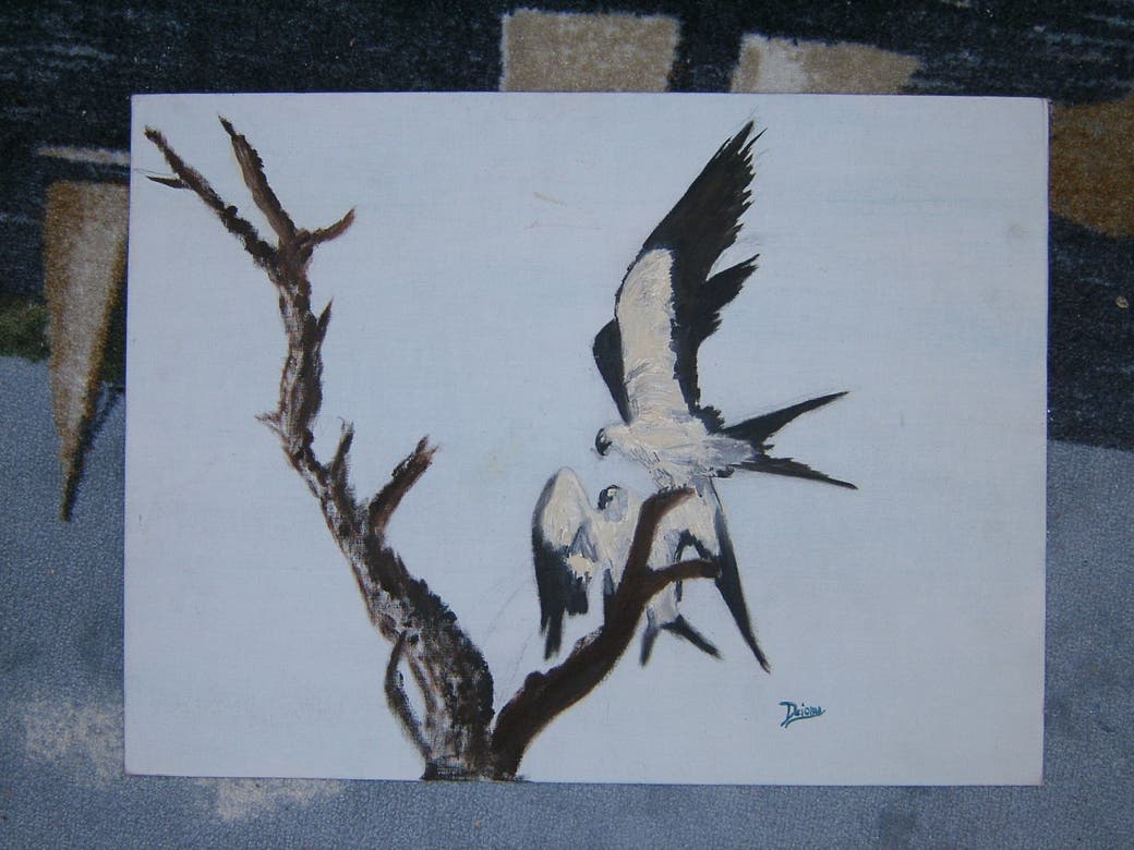 Oil Painting, Acylic, Watercolor, 